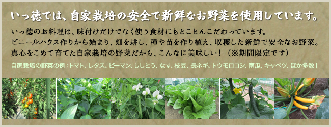 いっ徳では、自家栽培の安全で新鮮なお野菜を使用しています。